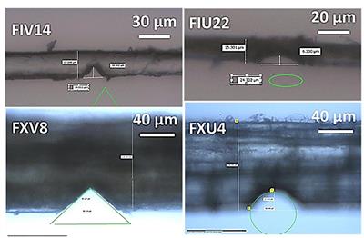 Damage Kinetics at the Sub-micrometric Scale in Bast Fibers Using Finite Element Simulation and High-Resolution X-Ray Micro-Tomography